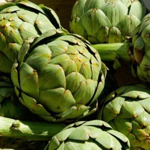 How to Grow Artichokes: A Simple Guide